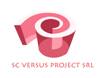 Locuri de munca la VERSUS PROJECT