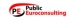 Logo PUBLIC EUROCONSULTING