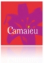 Locuri de munca la CAMAIEU MODA ROMANIA