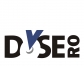 Logo DVSE RO
