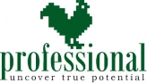 Professional HR Agency