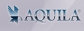 SC AQUILA PART PROD COM SRL