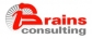 BRAINSCONSULTING