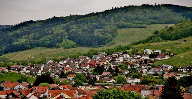 Comuna din Cluj care ofera terenuri gratuite pentru romanii care vor sa se mute la tara. Familiile cu copii ar putea avea prioritate