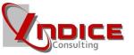 SC INDICE CONSULTING AND MANAGEMENT