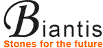 Biantis Consulting Services
