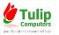 Tulip Computers SRL