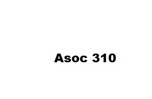 asociatia 310