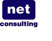 Net Consulting SRL