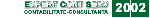 EXPERT CONT SERV 2002 SRL