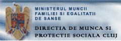 Directia de Munca si Protectie Sociala Cluj
