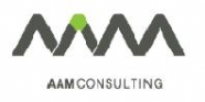 AAM Management Information Consulting