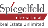 Spiegelfeld International