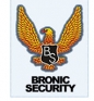 SC BRONIC SECURITY SRL