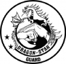 Dragon Star Guard