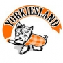 Yorkiesland