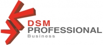 SC DSM Professional Business SRL