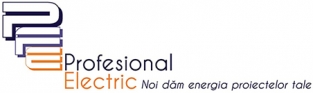 Profesional Electric SRL