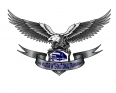 Efe Vultur International Transport
