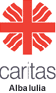 Caritas Alba Iulia, Departamentul Asistența Socială.