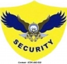 S.C. TRANSGUARD SECURITY S.R.L.